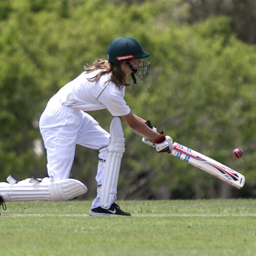Maroochydore Junior Cricket Club