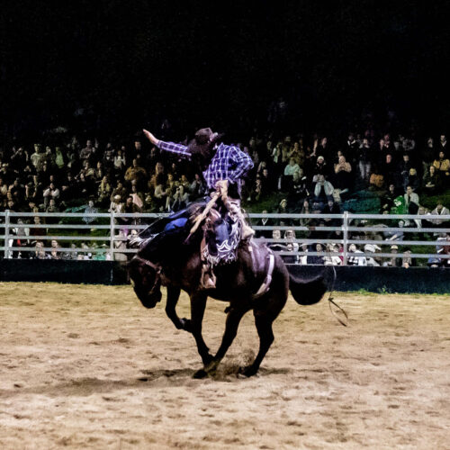 Nambour Rodeo